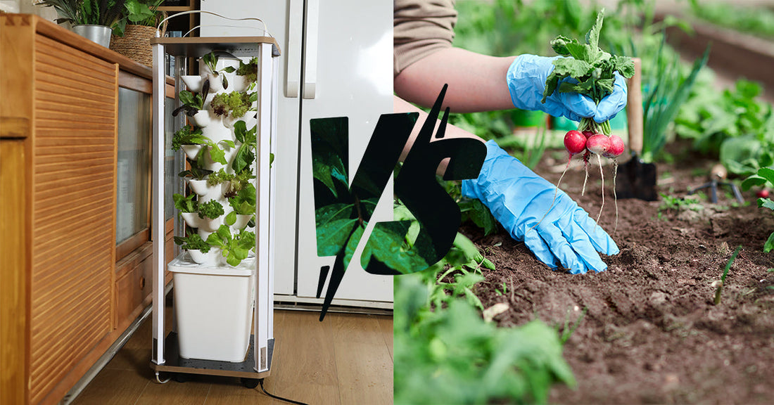 Hydroponics 101: Why Indoor Soilless Farming Outshines Traditional Gardening