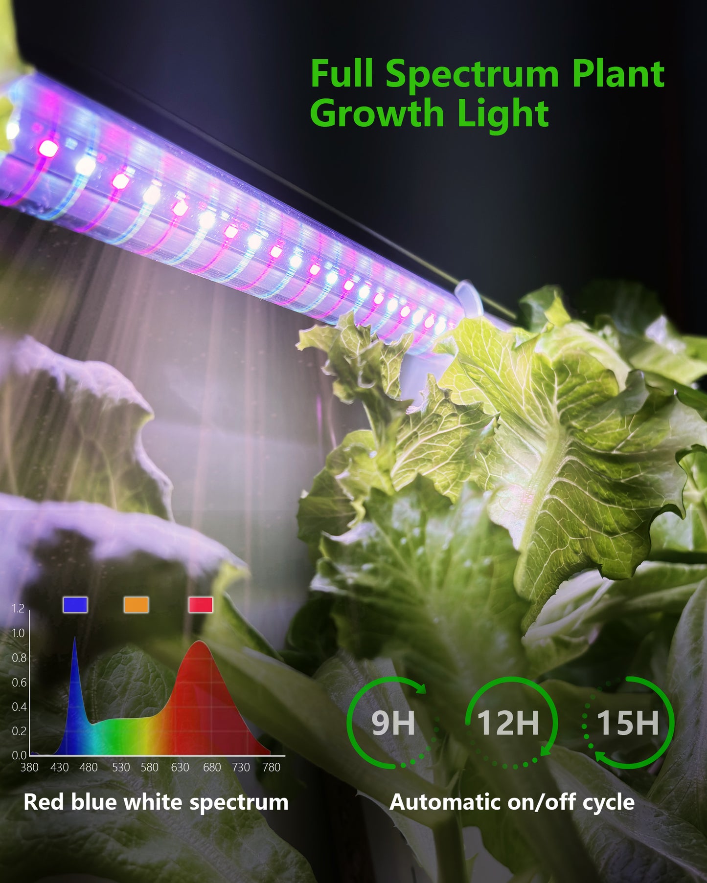 W4 NFT hydroponic system