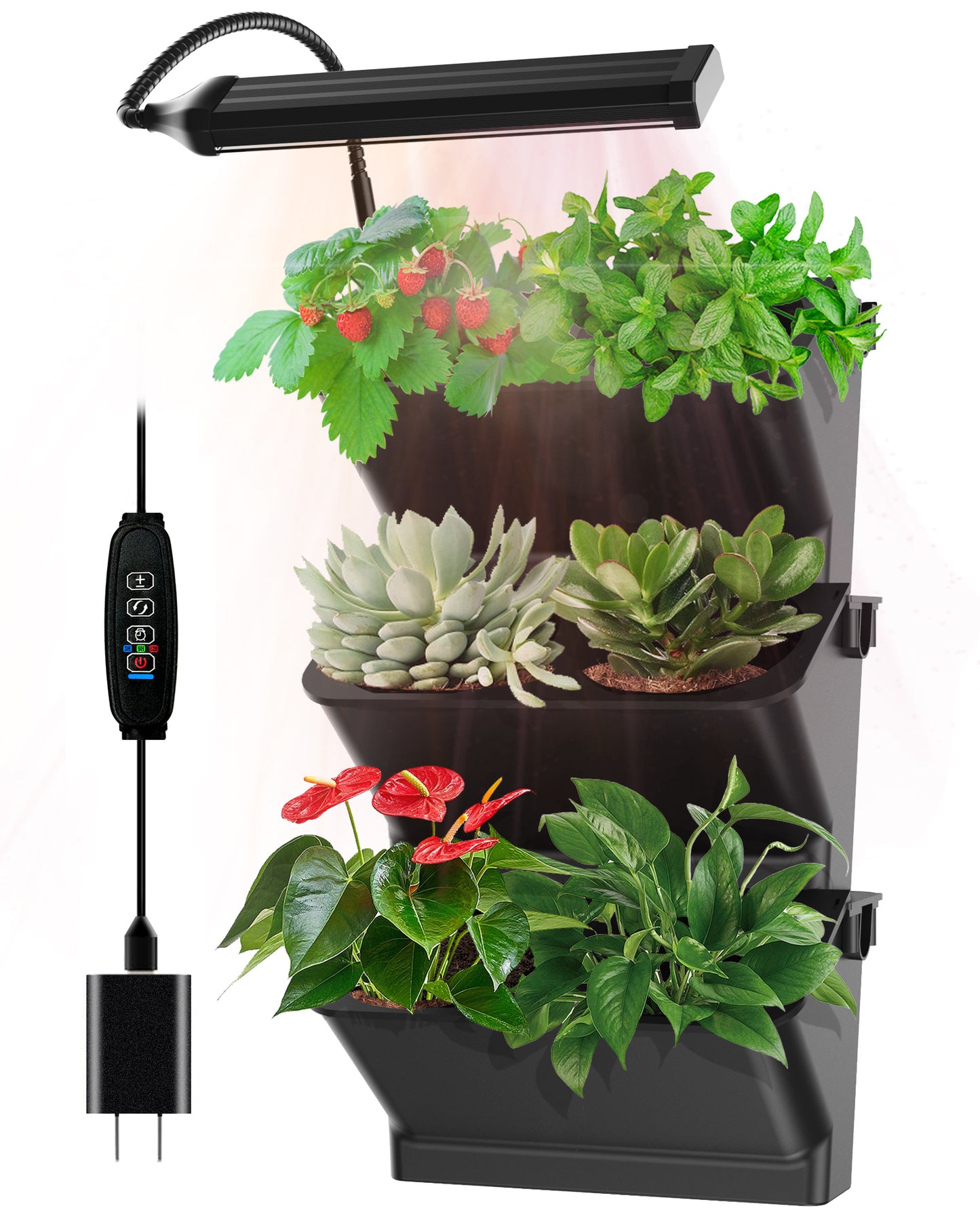 W6 wall planter