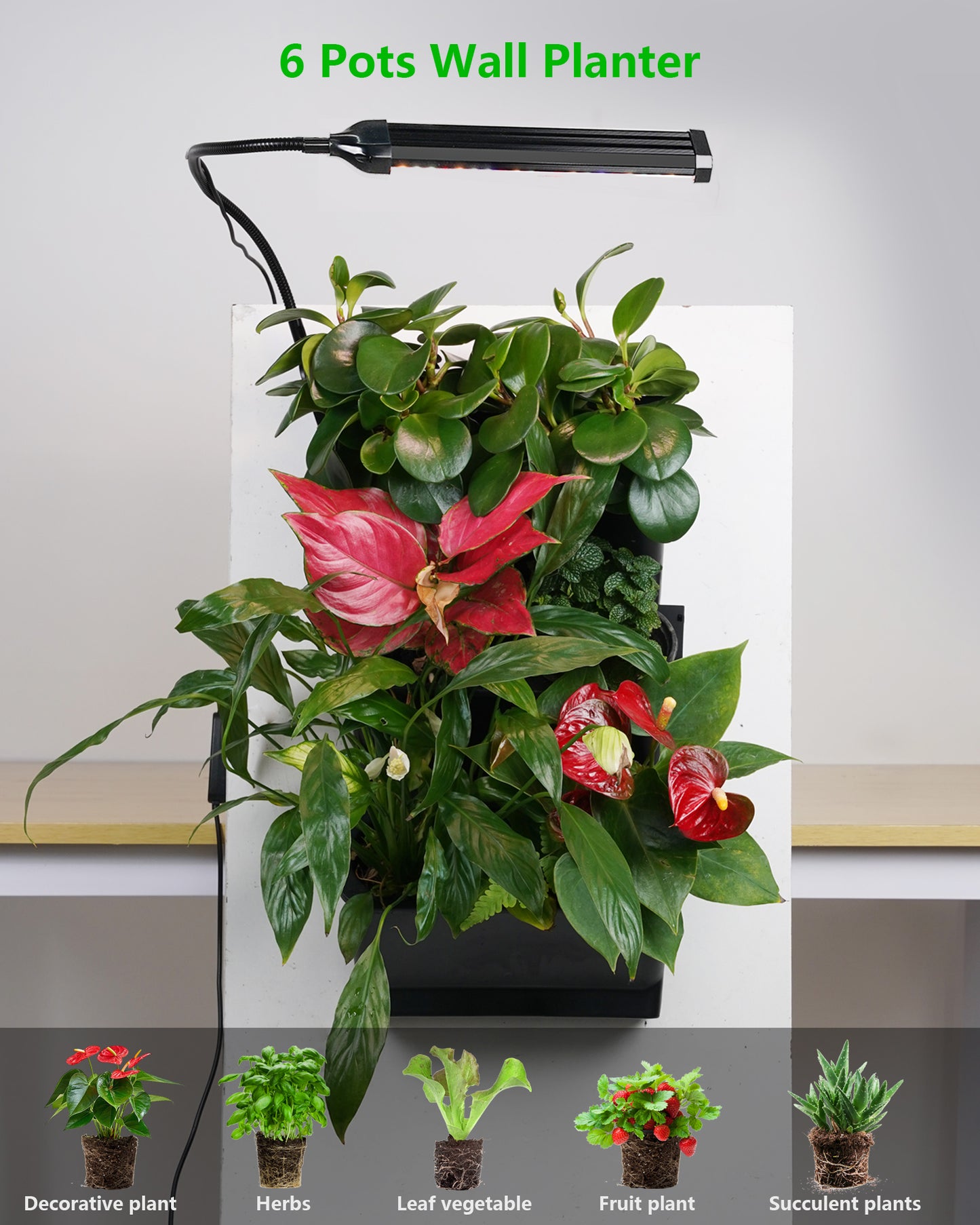 W6 wall planter