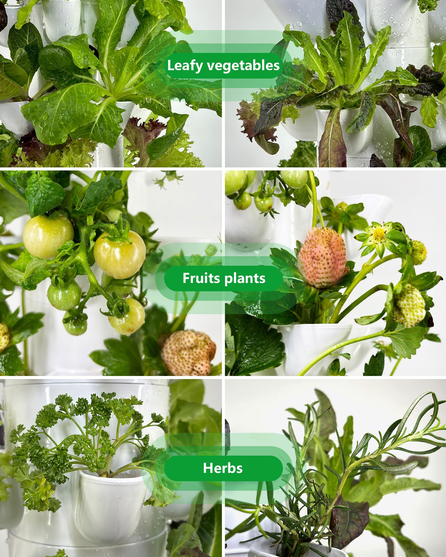 T6 hydroponic tower