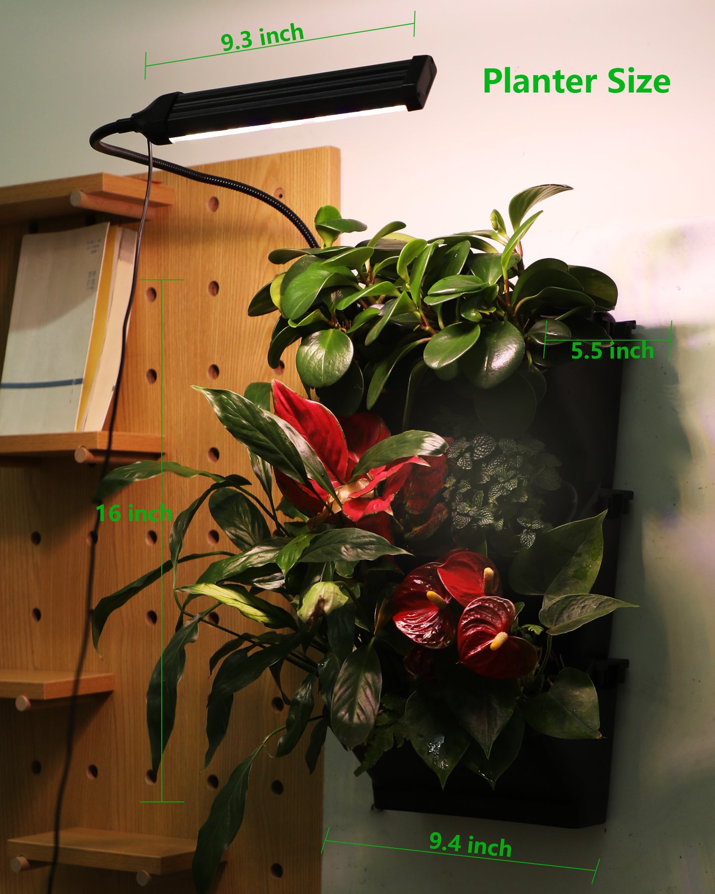 W6 wall planter