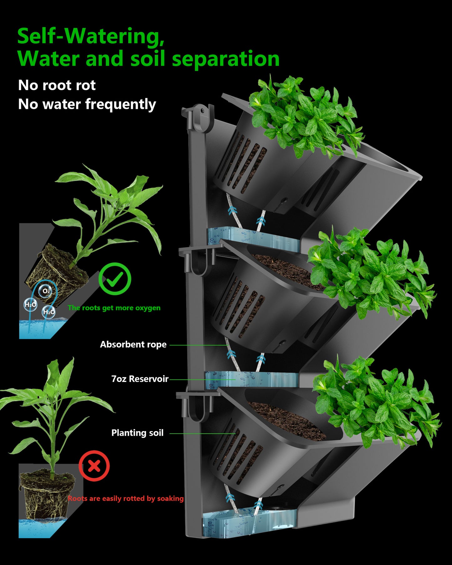 W6 wall planter