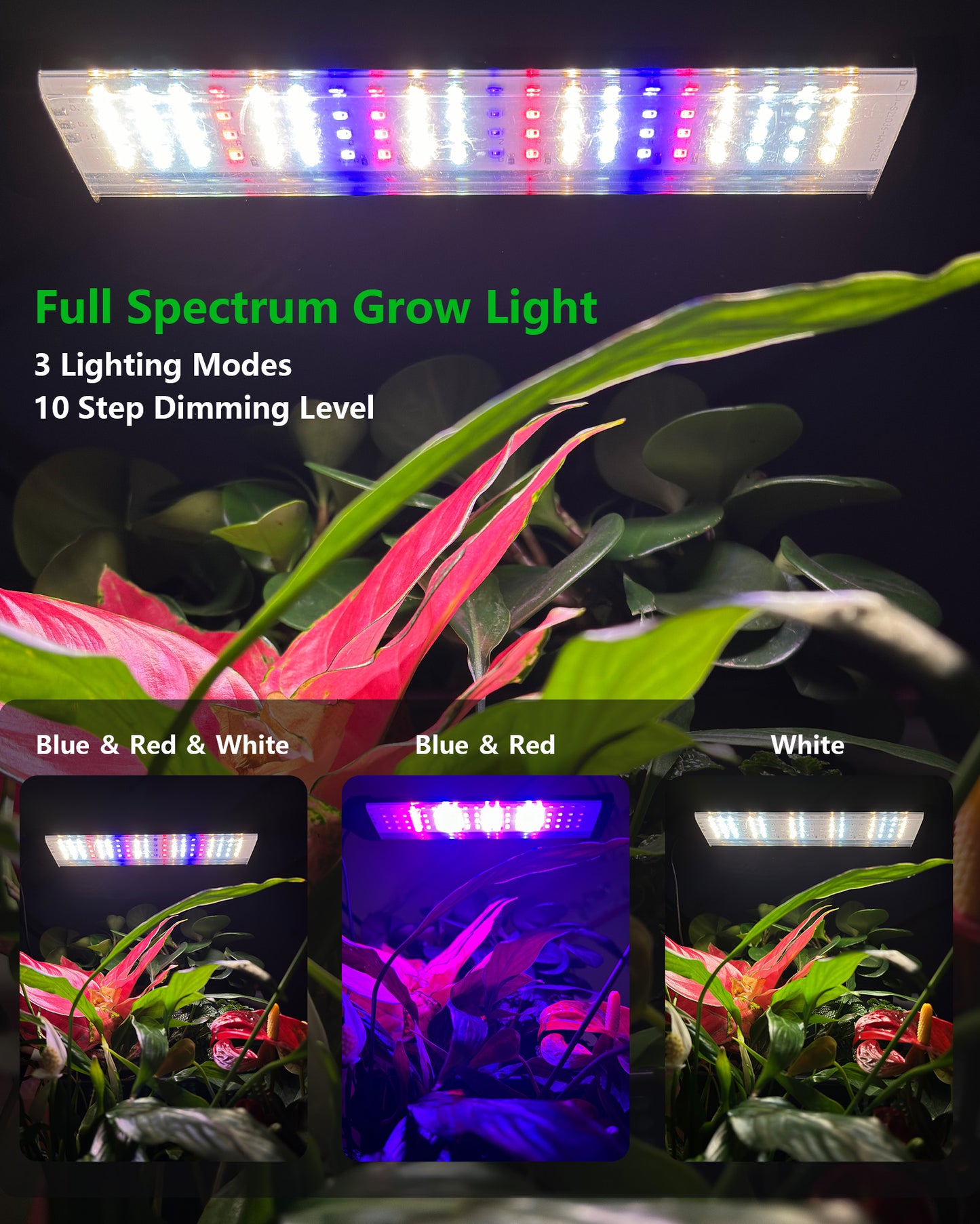 W6 wall planter